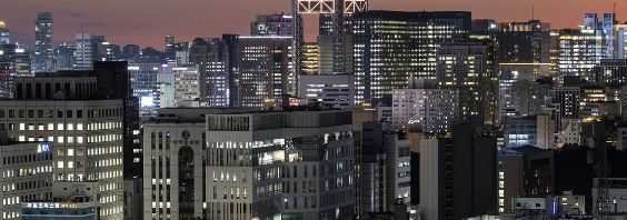 서울 대학생 국가장학금 전략 관련 사진