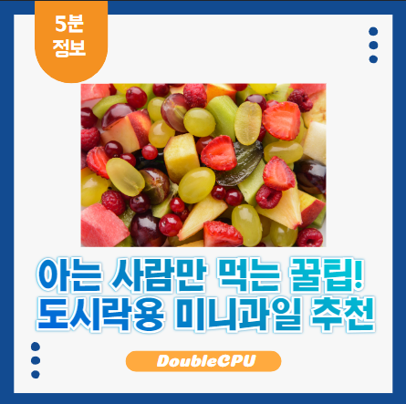 도시락용 미니과일