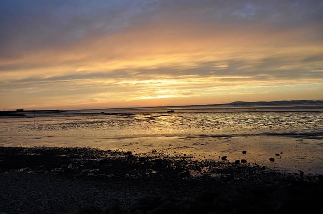 -(으)ㄹ 정도로, “-(eu)l jeongdoro”(an expression meaning “to such an extent that … / so … that …”)