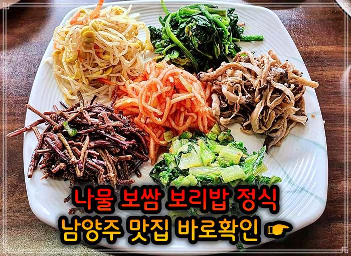남양주 진접 오남 맛집 산채 나물 보리밥 정식