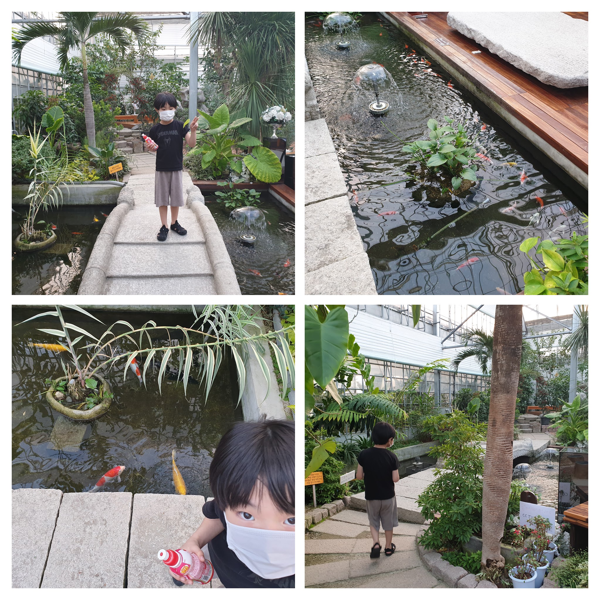 바오밥식물원베이커리카페 후기