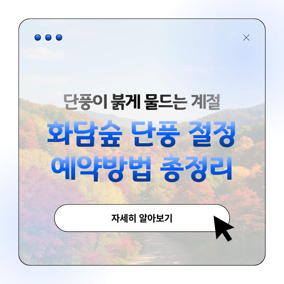 2025 화담숲 단풍 포토존과 가을 감성사진 촬영 가이드 이미지｜서울근교 가을 여행 명소