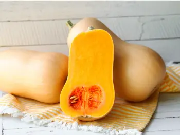 가을 제철 음식 늙은 호박 효능 및 영양성분