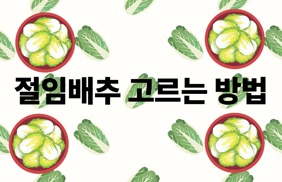 절임배추 추천
