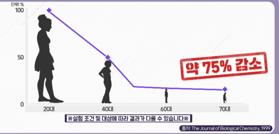 콘드로이친