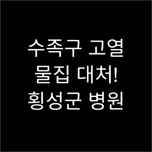 아이 수족구 고열 물집 대처 횡성군 ..