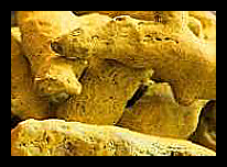 커큐민 효능 부작용