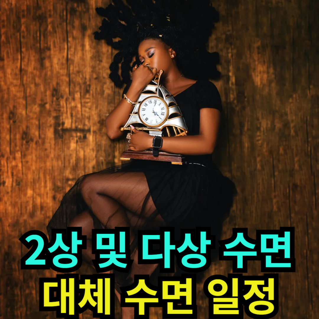 2상 및 다상 수면 - 대체 수면 일정