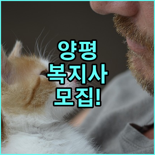 양평군 시니어클럽 사회복지사 채용 정..
