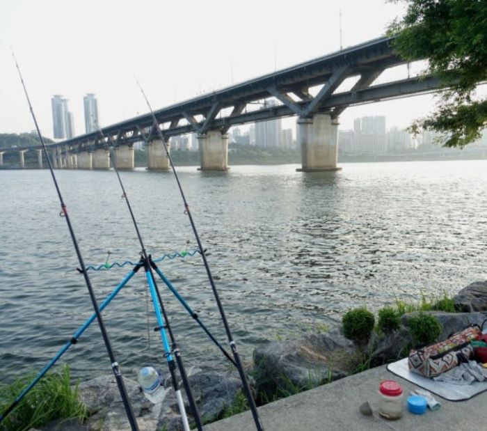 Fishing at Ttukseom Amusement Park