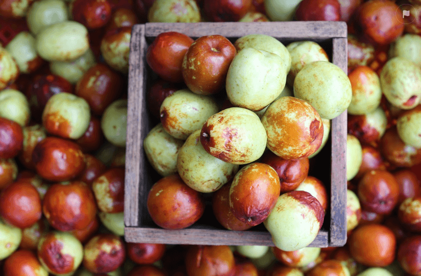 대추고추장 관련 이미지