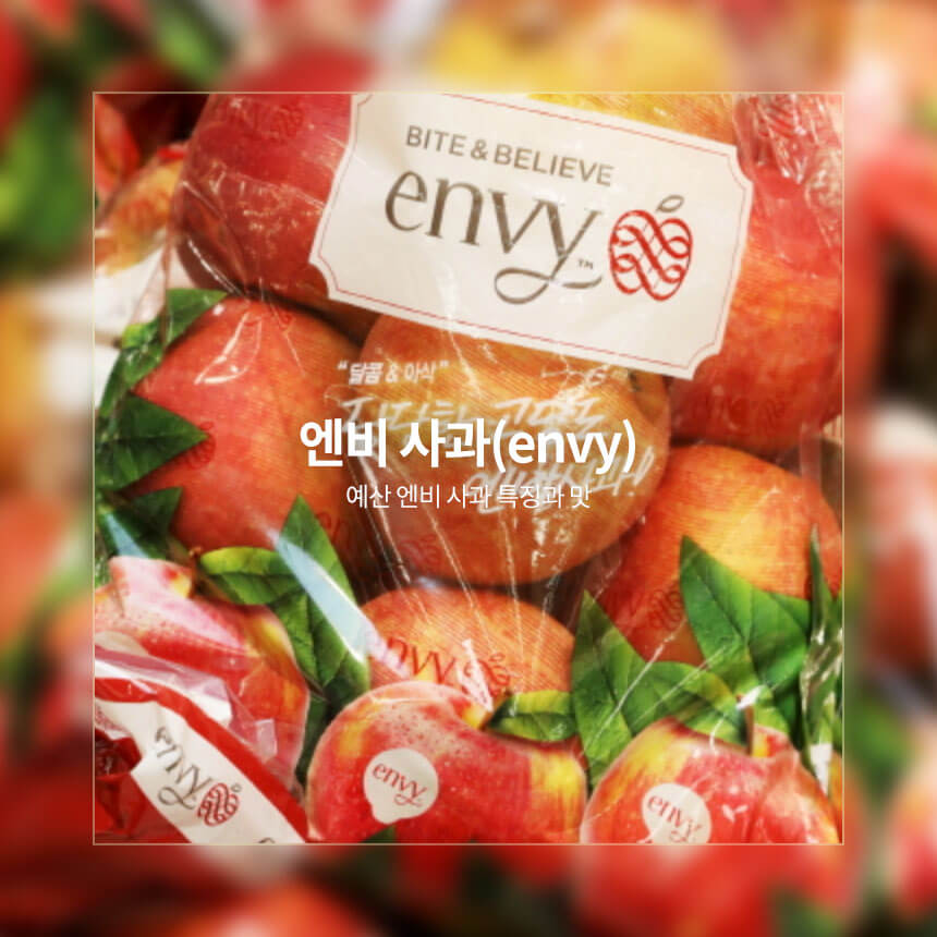 엔비사과-예산 엔비사과
