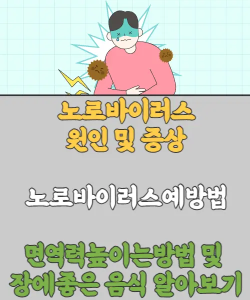 노로바이러스