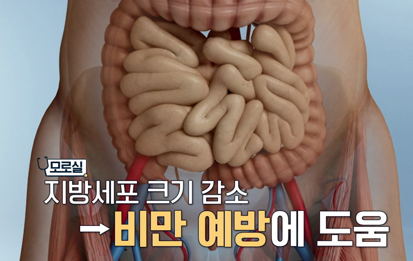 모로실 효능