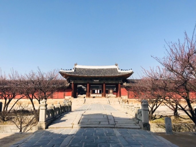 2025년 궁궐 여행 - 창경궁(2025 물빛연화 야간개장)관련 사진