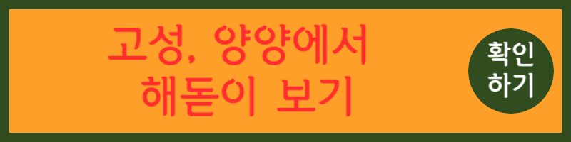 속초시 해돋이 명소