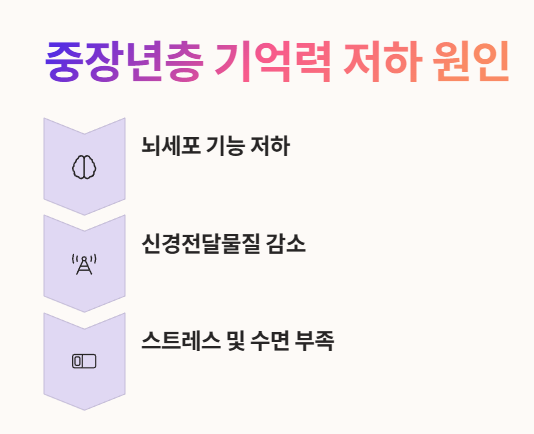 중장년층 기억력 저하 원인