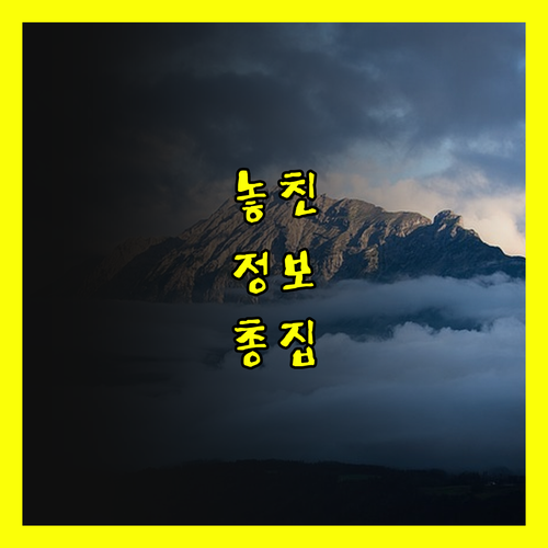 방콕 숙소 추천 럭키하우스 카오산 럽