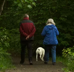 정년퇴임 인사말에 대하여 알아보기