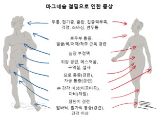 마그네슘 부족현상