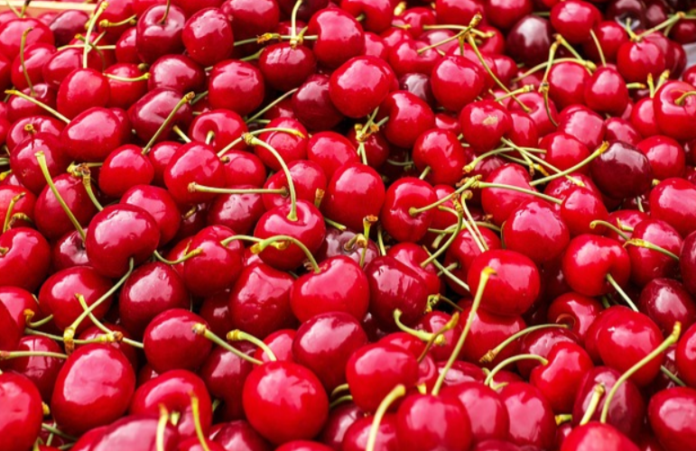 건강하게 잠드는 법 &amp;#124; 불면증 예방과 숙면을 돕는 습관