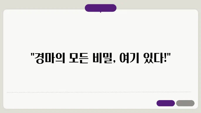 한국마사회 경마정보, 문화 총정맄