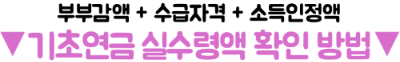 기초연금-재산-있으면-못-받을까-집-예금-자동차-반영-방식-재산-기준