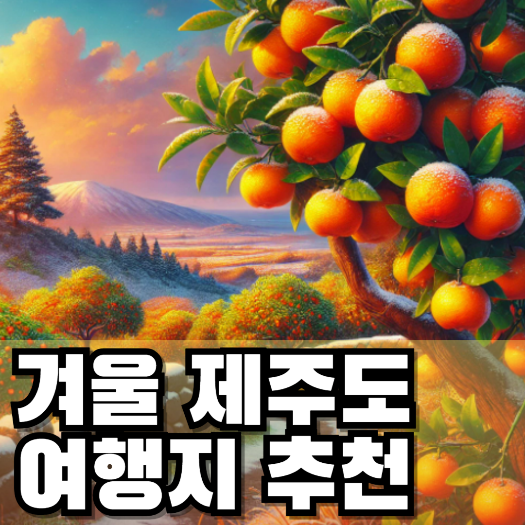 제주도 겨울 가볼만한곳 여행지 추천