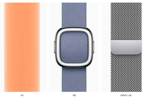 애플워치밴드스타일