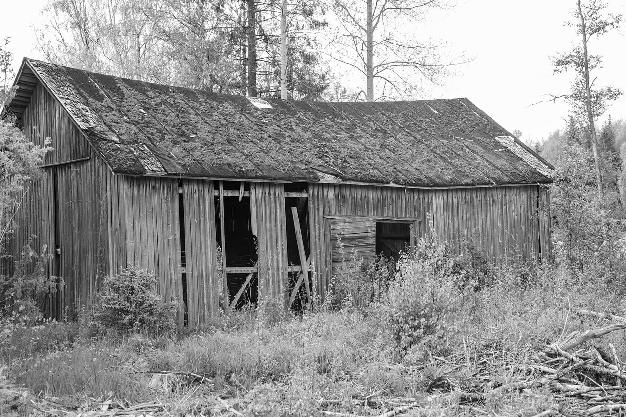재난대피소 현장 점검기