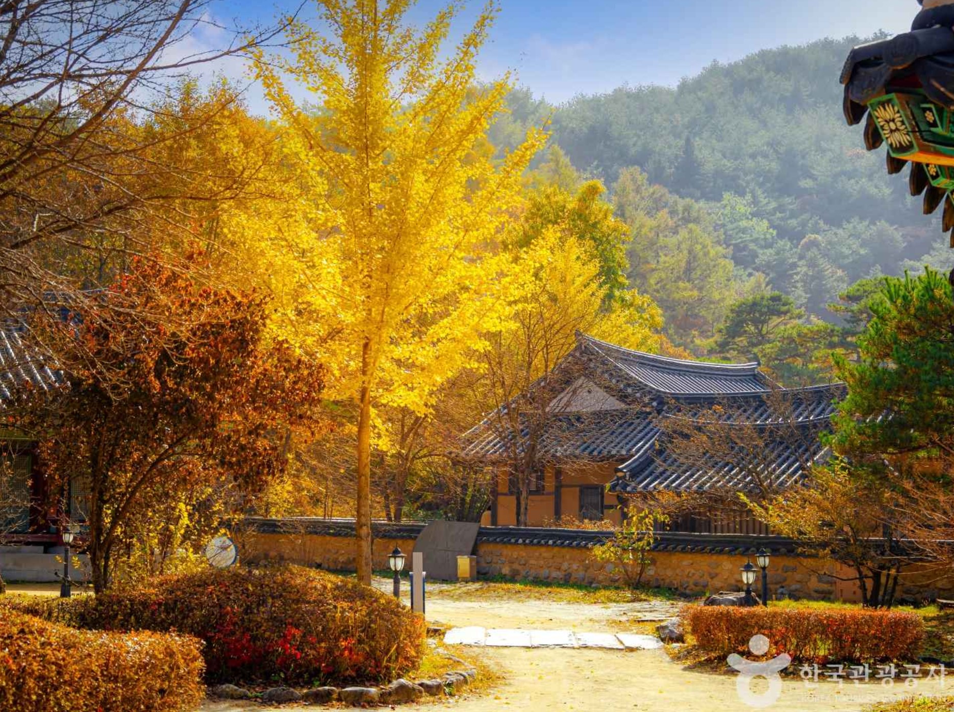 영주-가볼만한곳-소수서원의-가을