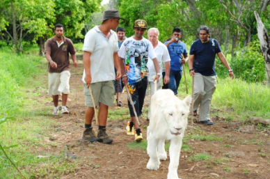 모리셔스 신혼여행