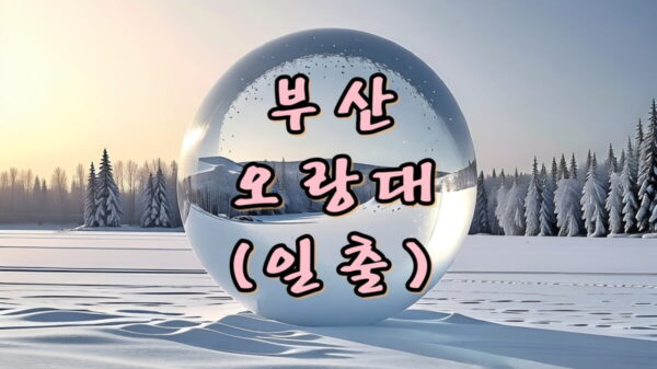 부산 오랑대 일출