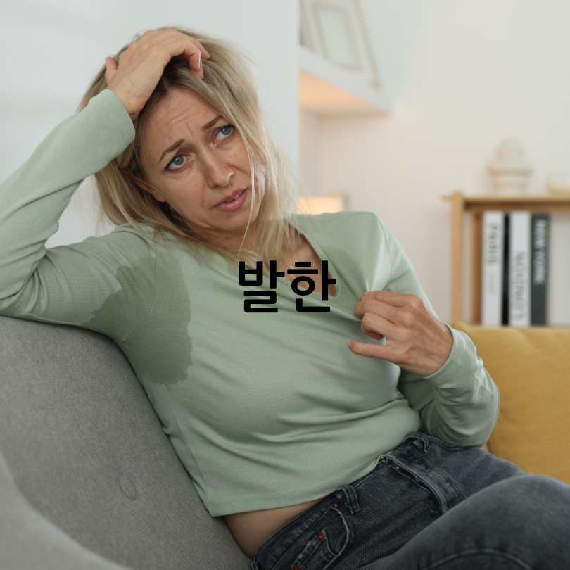 여성갱년기증상