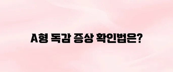 A형 독감 증상 이렇게 확인하세요｜고열·두통·근육통 등 주요 증상 정리
