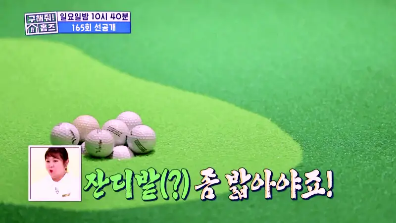 구해줘홈즈 서울시 강남구 자곡동 문을 여시오 하우스 매물 입주보증금 7억9천 월생활비 336만원 조건 소개