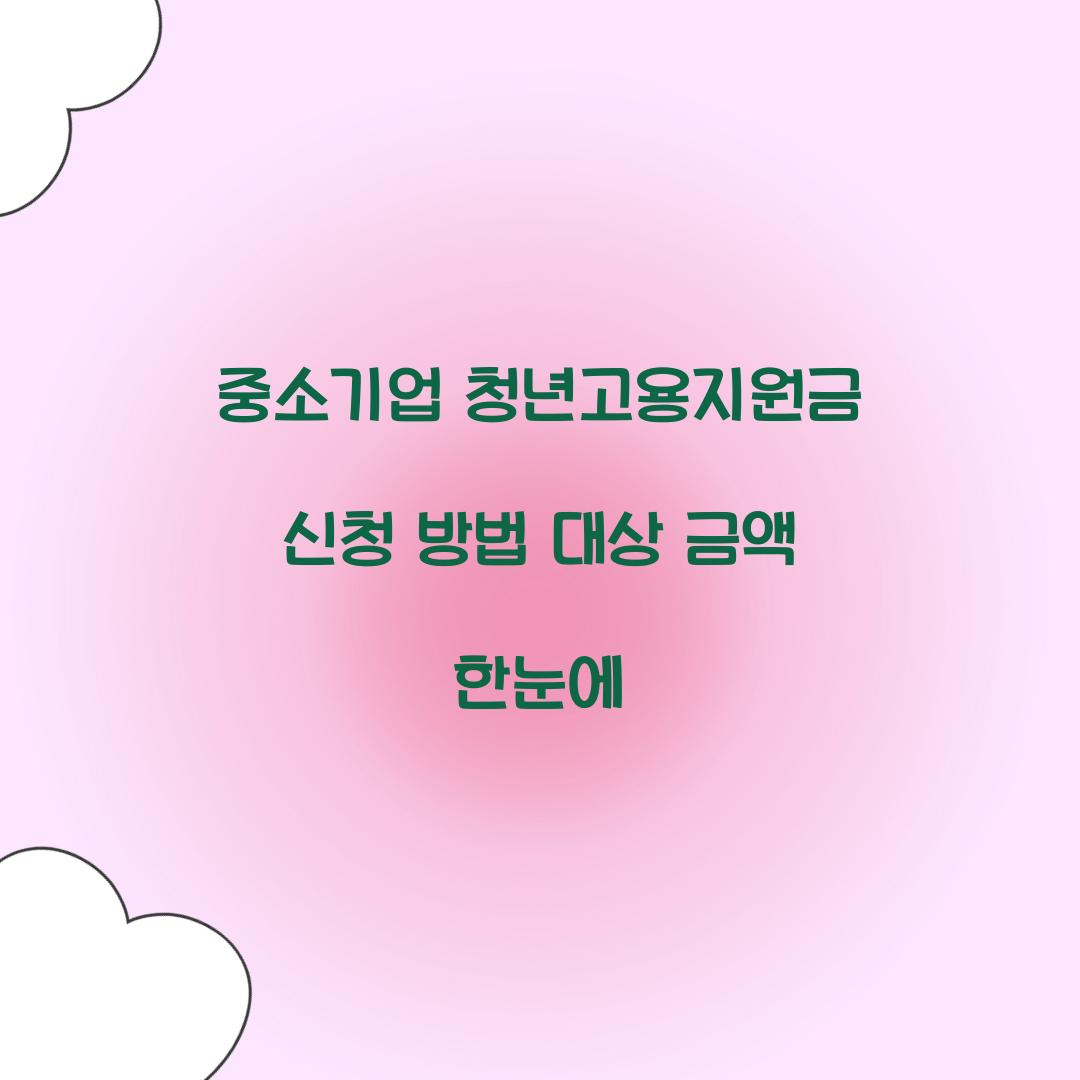 중소기업 청년고용지원금