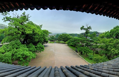 창덕궁후원