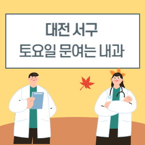 대전 서구 토요일 내과 진료 병원 리스트