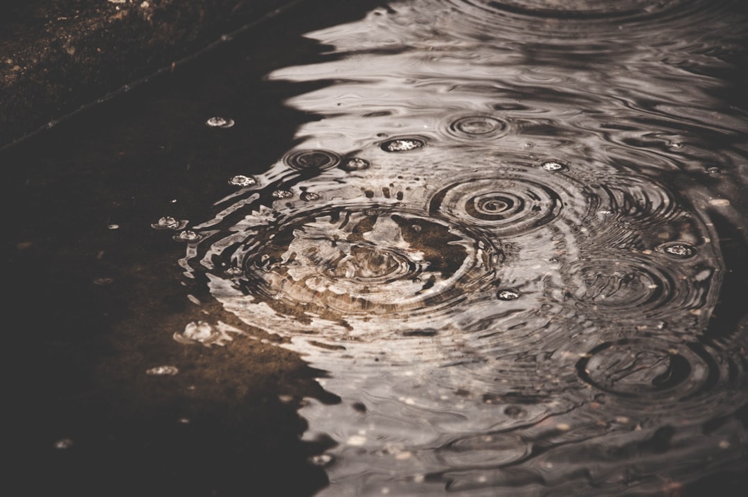 Ripple