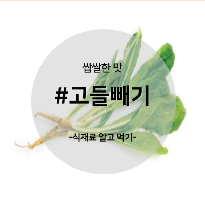 고들빼기