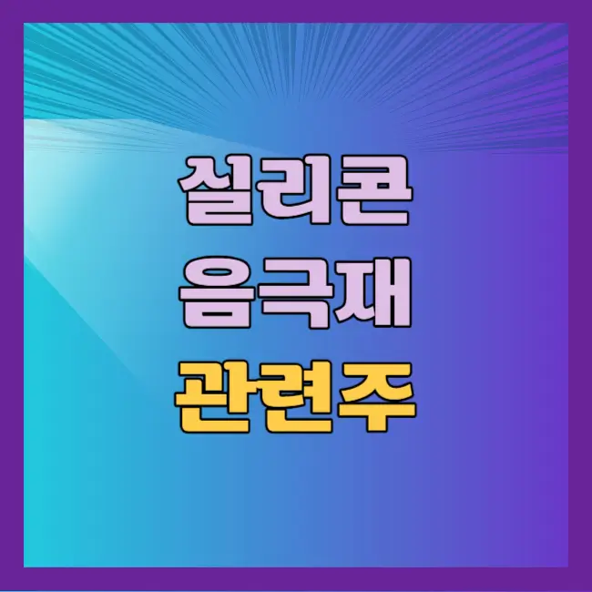 실리콘 음극재 관련주