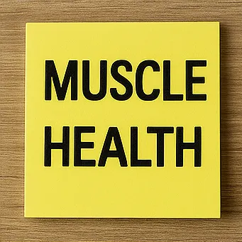 알부민의 효능15