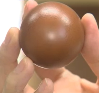 밥솥으로 구운계란 만들기