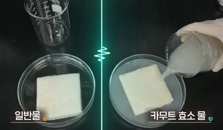 카무트 효소 효능