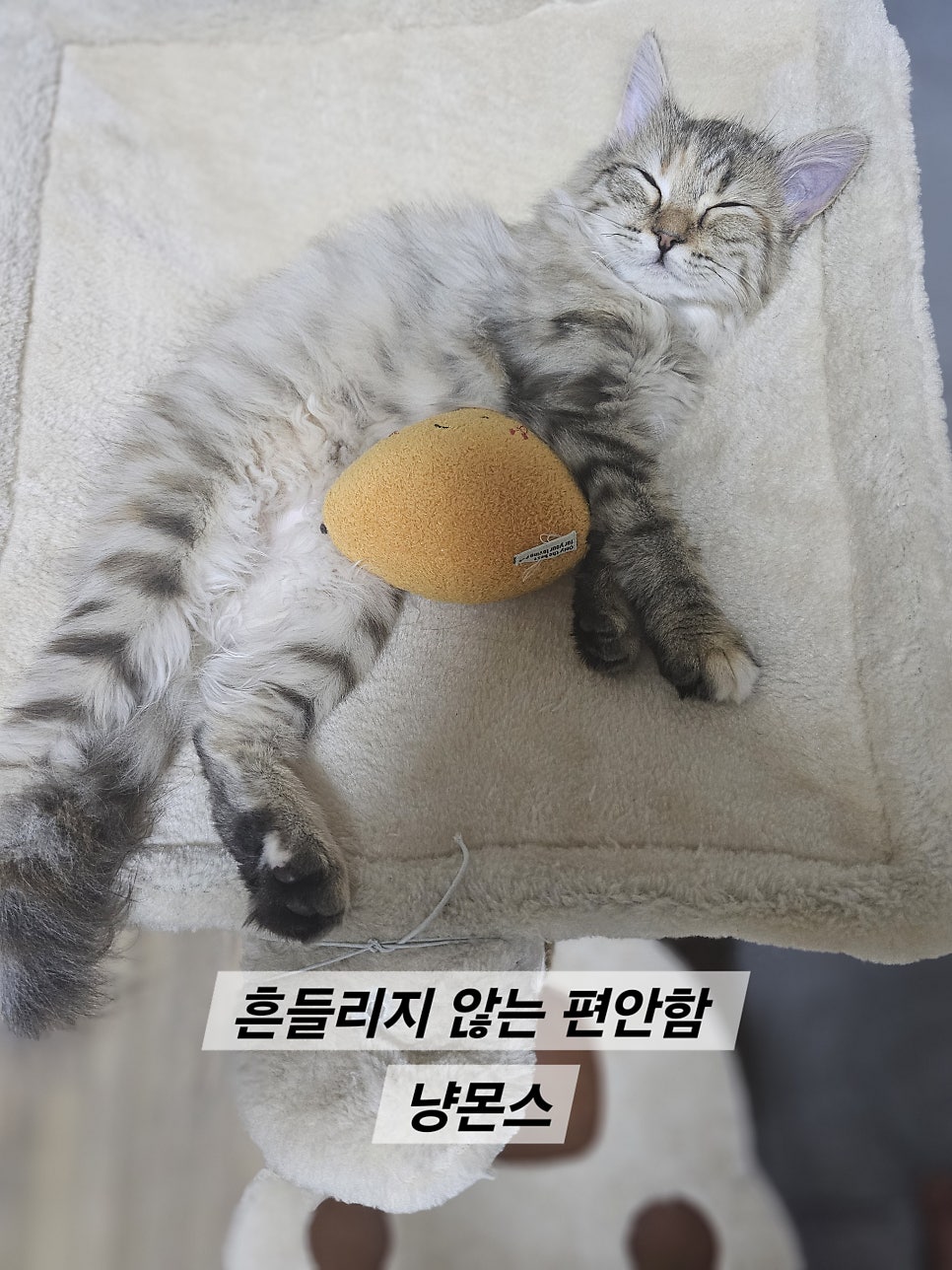 신부전의 전조증상