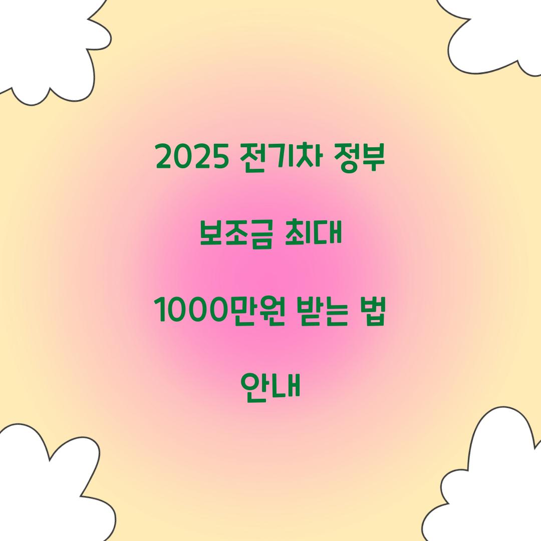 전기차 정부 보조금