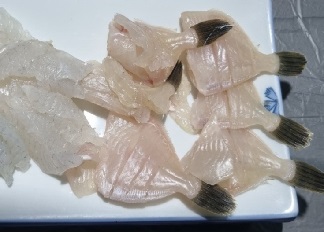 직접뜬회