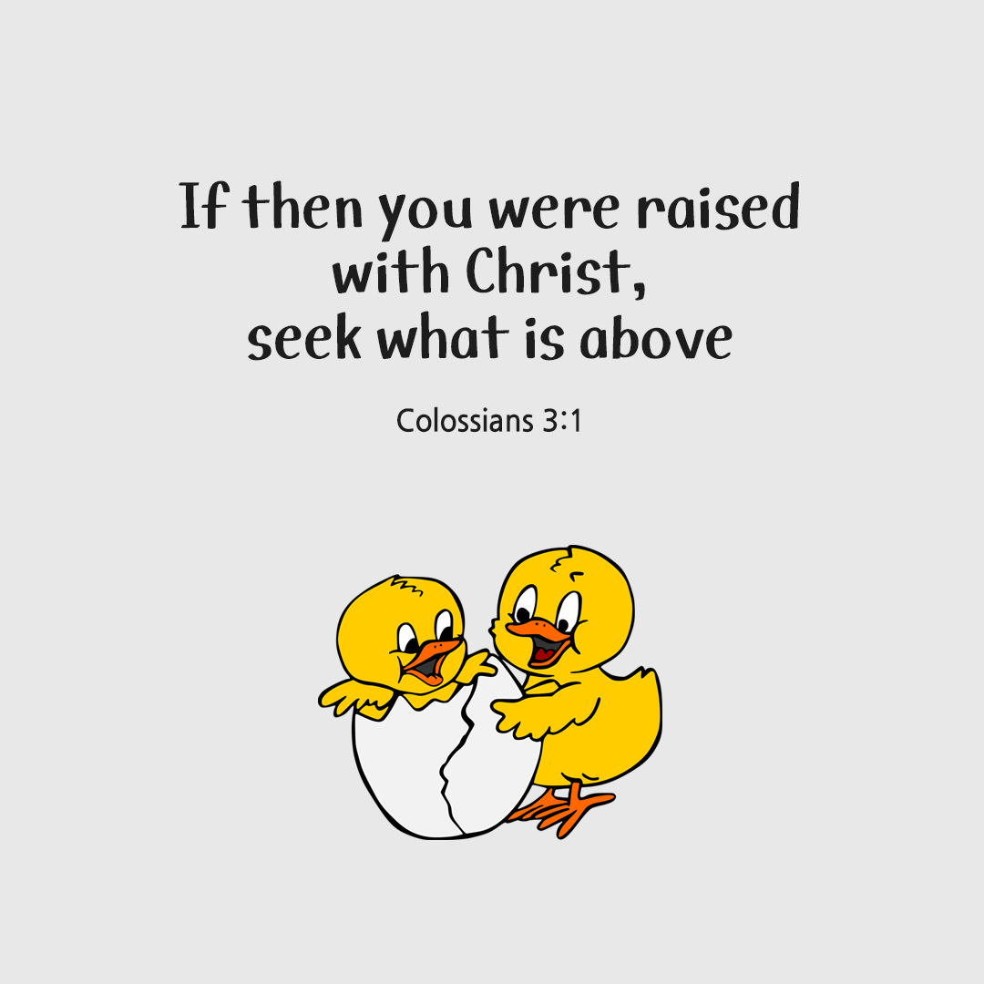 If then you were raised with Christ, seek what is above. (Colossians 3:1) by pieonane Daily Bible quote image