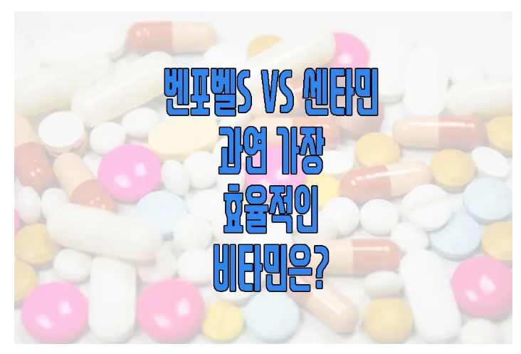 벤포벨s에 관한 글 보러 가기 링크 사진